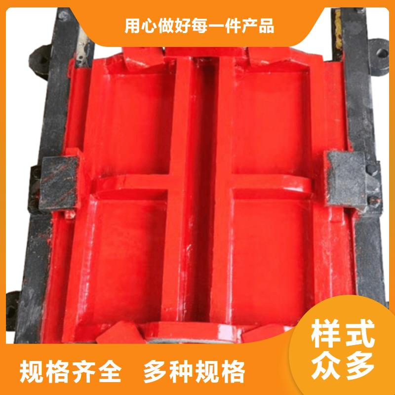 黄山拱形铸铁闸门低当地品牌
