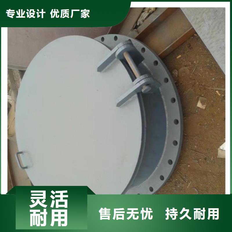 侧开式钢拍门双开门式拍门厂家多种规格多种场景适用