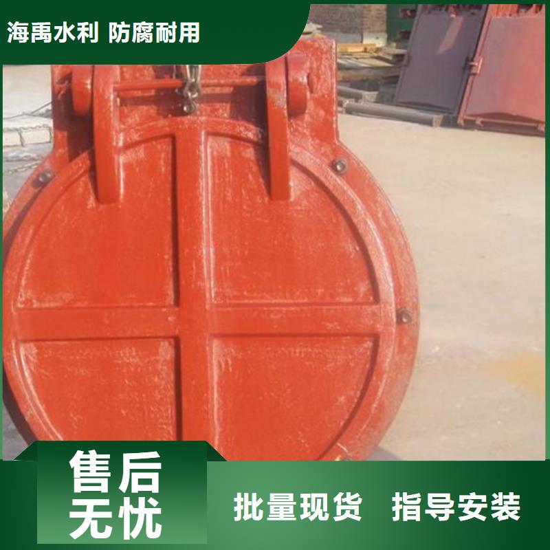 双开门式拍门方形拍门操作简单同城经销商