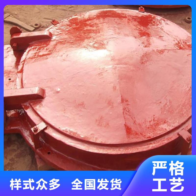 侧开式拍门单开拍门质保一年当地生产商