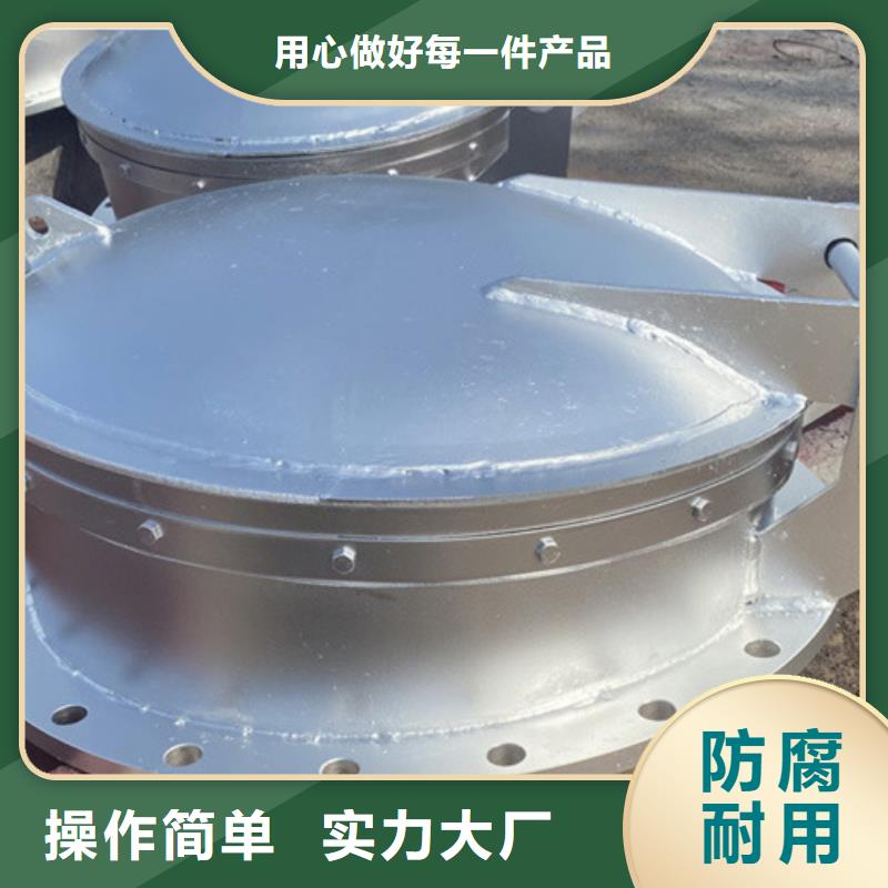 钢制拍门复合材料拍门厂家严格工艺诚信经营现货现发