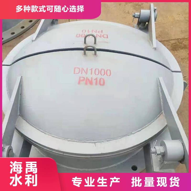 拍门双开门式拍门厂家货到付款专业生产设备
