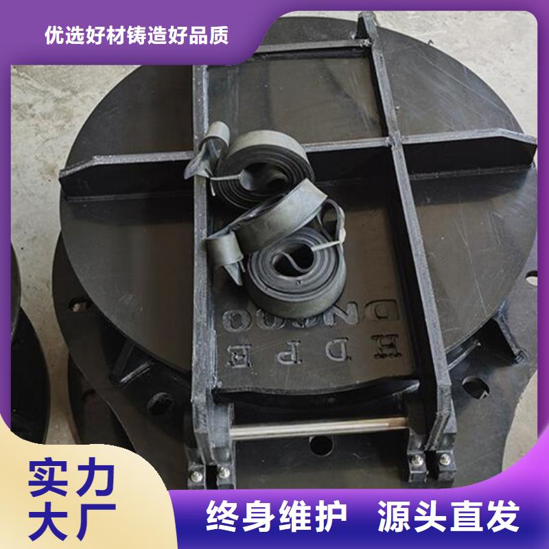 双开门式拍门玻璃钢拍门厂家质保一年价格公道合理