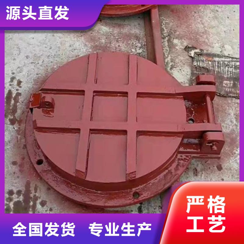 钢制拍门拍门厂家实力大厂厂家新品