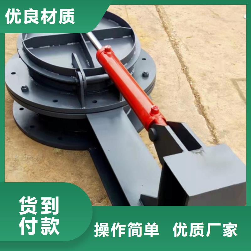 双开门式拍门钢制方拍门货到付款同城服务商