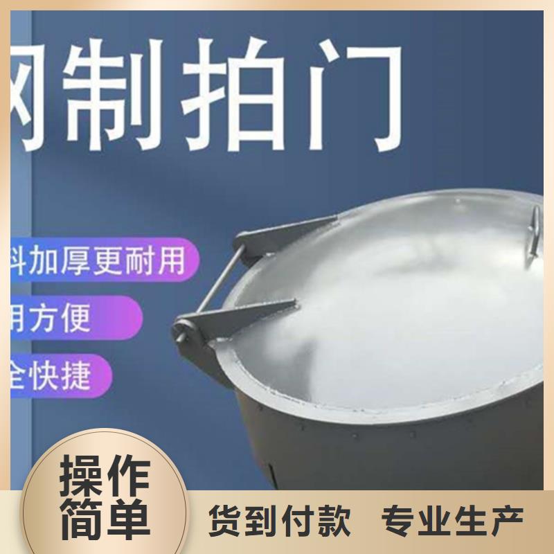 铸铁拍门钢制拍门厂家质量保障批发价格