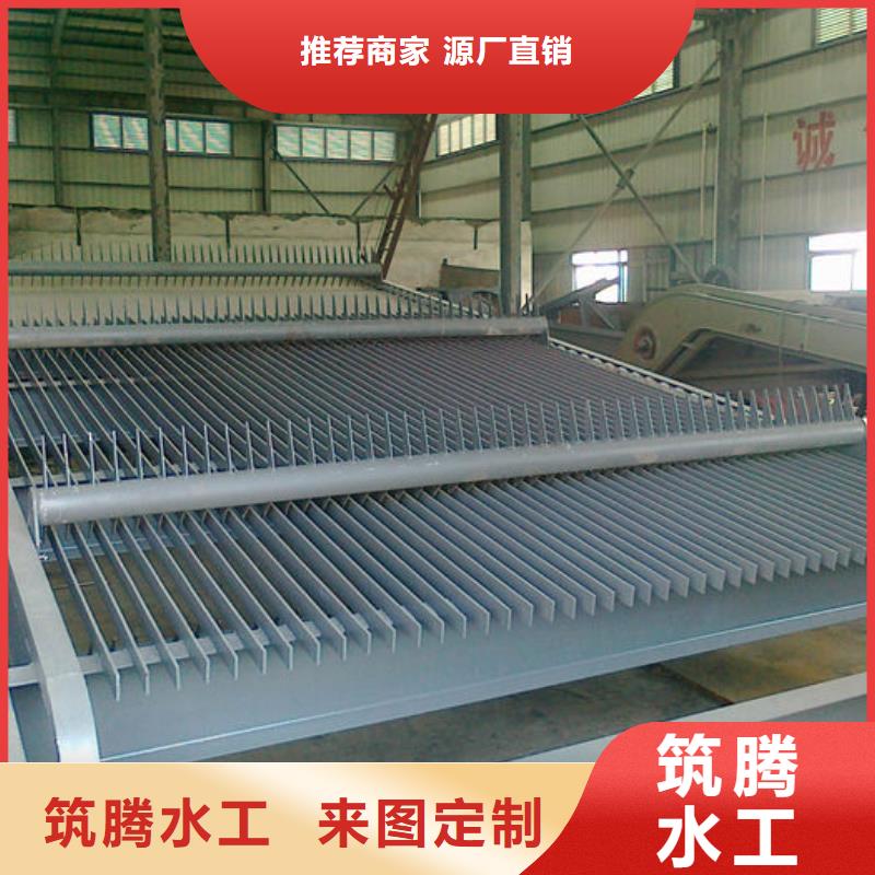 耙斗式清污机信誉至上当地公司
