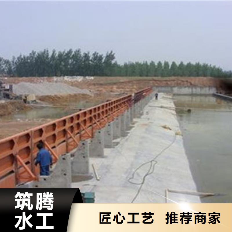 钢坝闸门按需同城服务商
