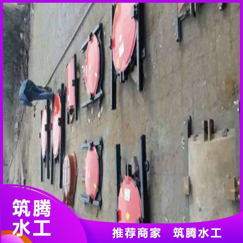 河道闸门真诚合作用心做品质