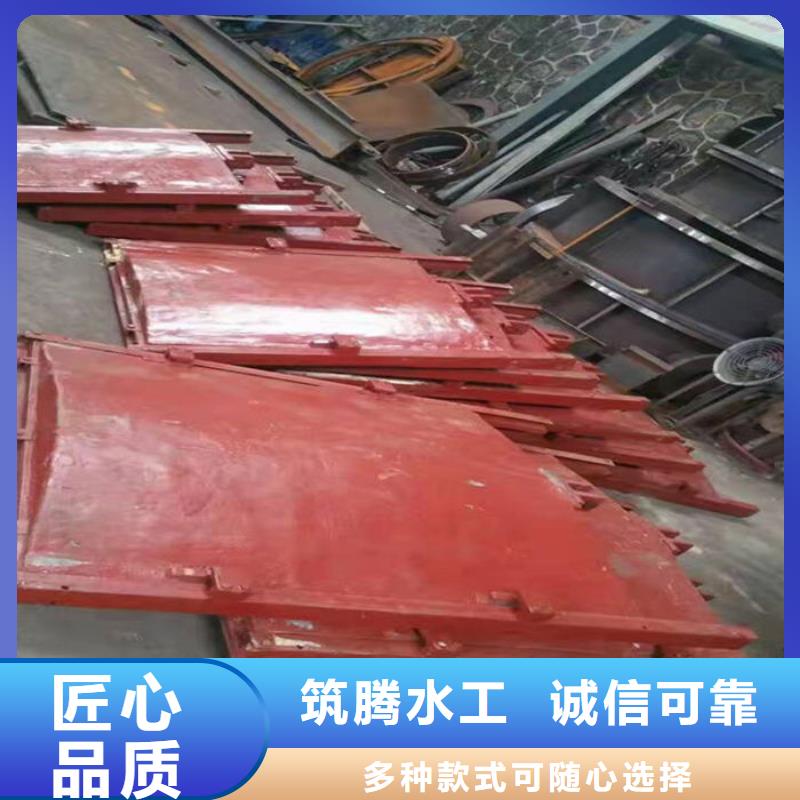 渠道闸门厂家直营好品质售后无忧