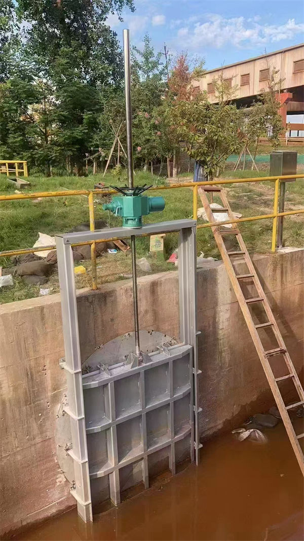 渠道闸门图片规格