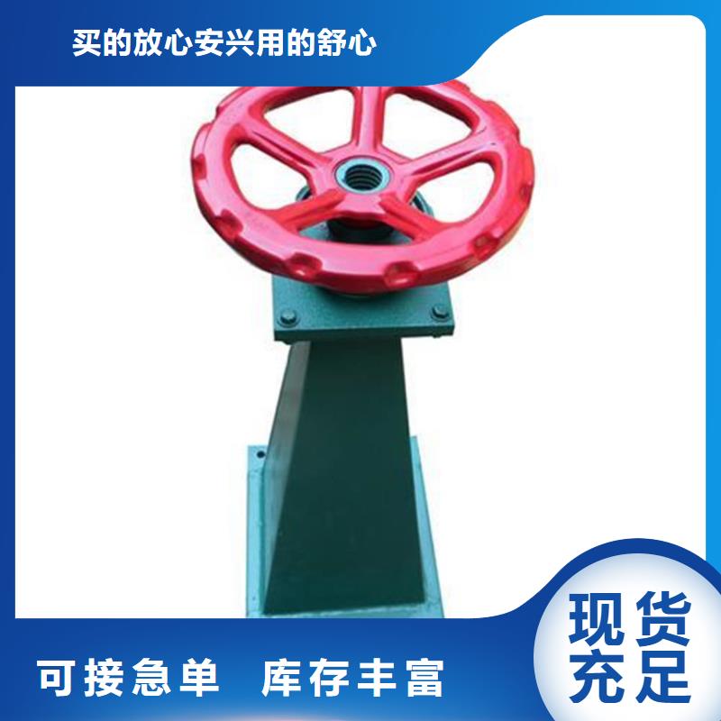 启闭机钢板闸门用心经营本地公司