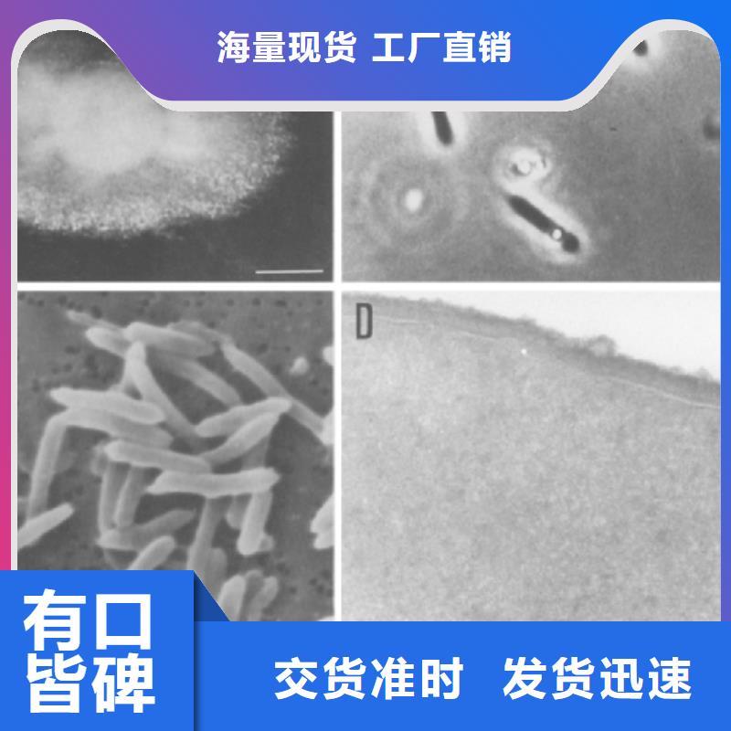 培养菌种碳源正规厂家本地经销商