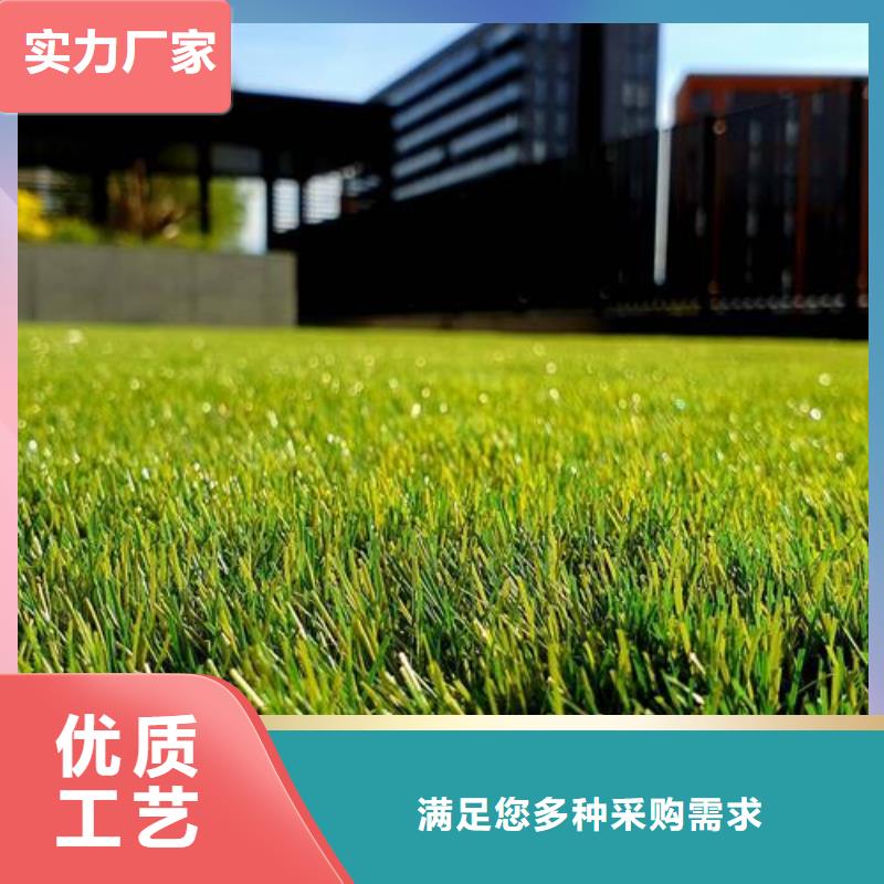 塑胶跑道人造草坪厂家实力公司价格实在