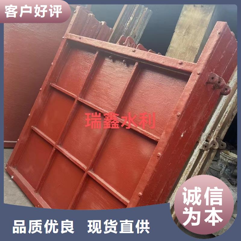 河道铸铁闸门-暗杆铸铁镶铜闸门精益求精本地供应商
