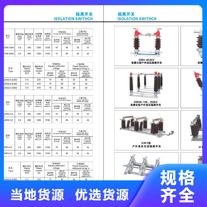 高压隔离开关-跌落式熔断器满足客户所需当地生产商