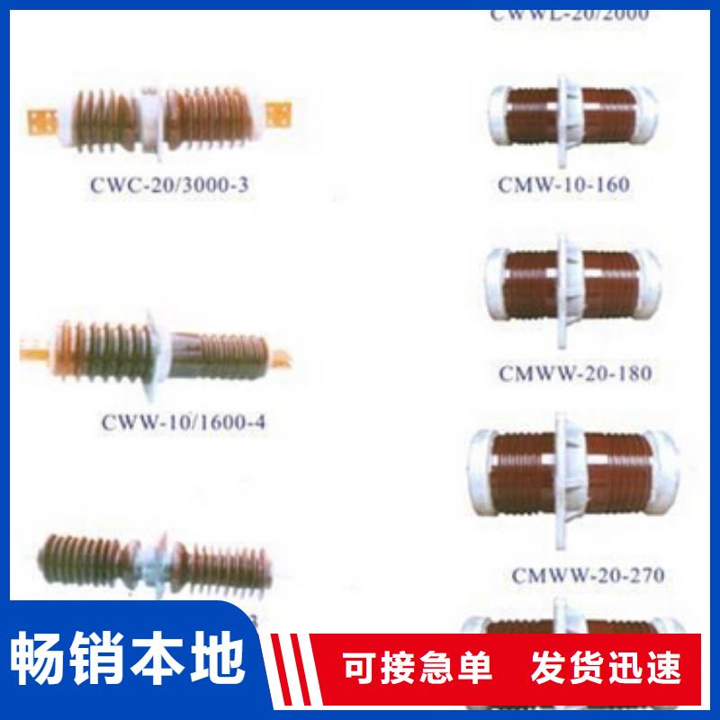 高压隔离开关CW2智能型式断路器精心打造经销商