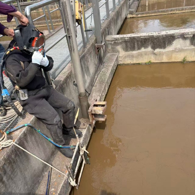 水下,潜水施工欢迎合作