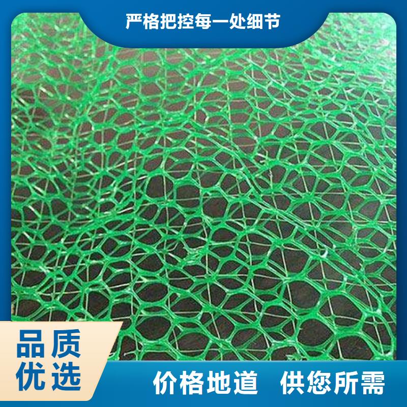 三维植被网_土工布实力厂家厂家拥有先进的设备