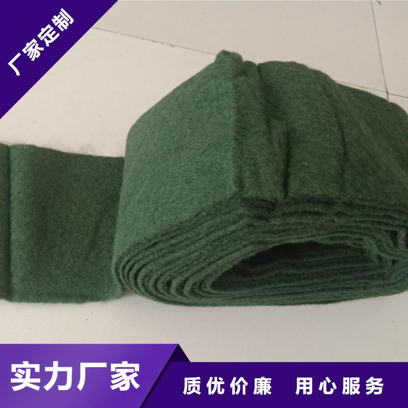 裹树布防水膜工厂直供现货直发