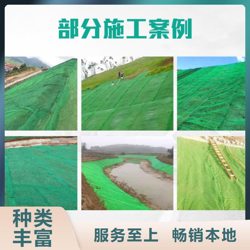 三维植被网土工膜厂家直销值得选择制造生产销售