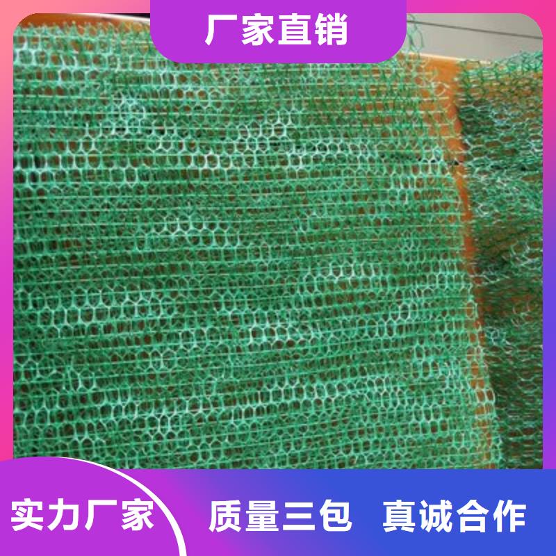 【三维植被网】止水铜片厂家质量可靠当地经销商