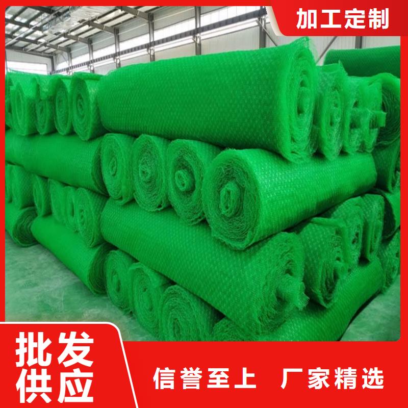 三维植被网铜止水生产厂家真实拍摄品质可靠厂家供应