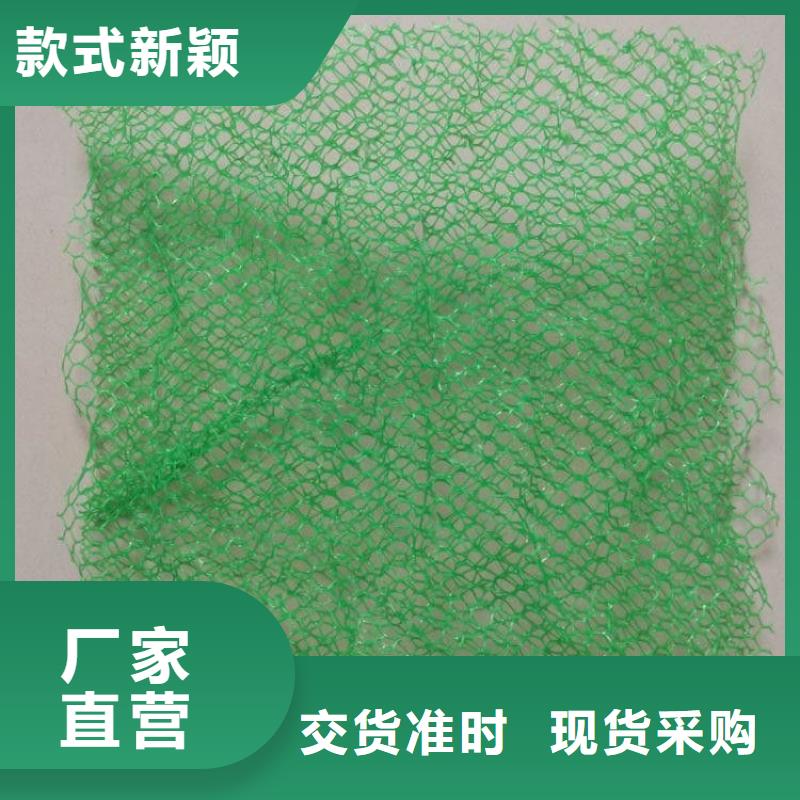 三维植被网_砂浆混凝土纤维多年行业积累支持加工定制