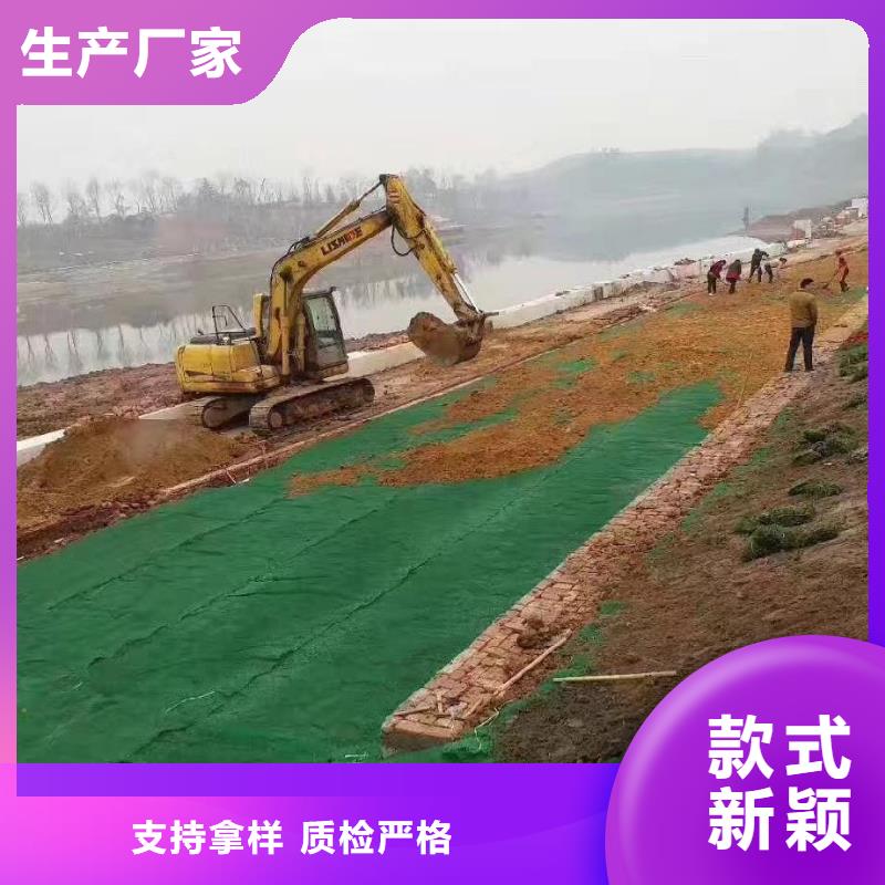 【三维植被网】止水铜片厂家厂家实力雄厚优选厂家