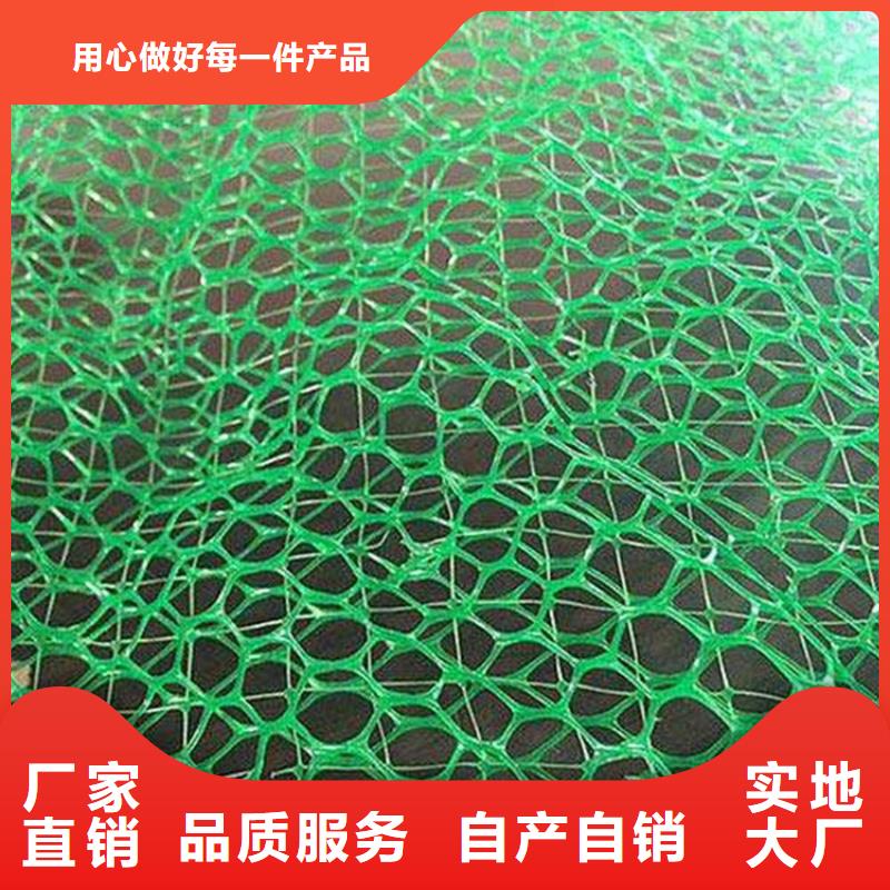 三维植被网-HDPE土工膜支持货到付清质量优选