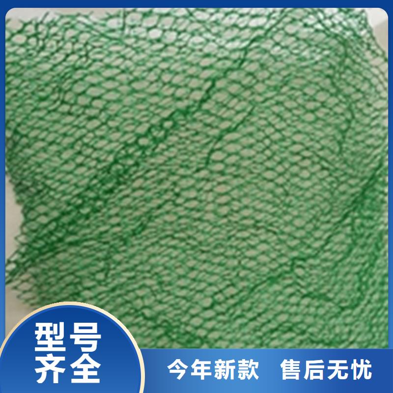 三维植被网土工膜专业按需定制当地货源