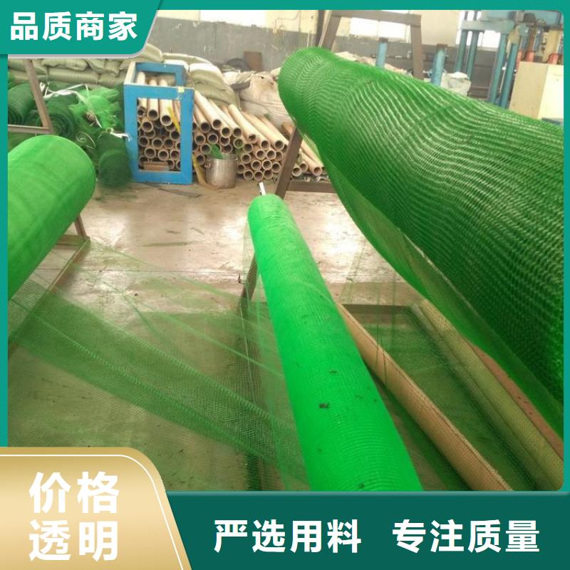 【三维植被网-塑料格栅认准大品牌厂家】售后无忧