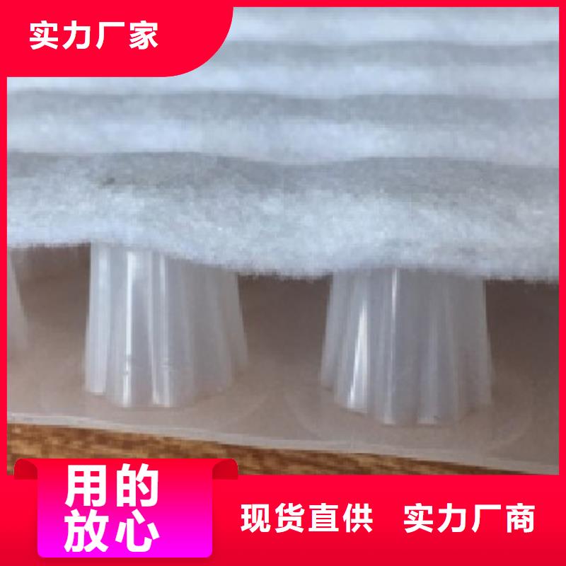 【虹吸排水】排水板认准大品牌厂家同城生产厂家