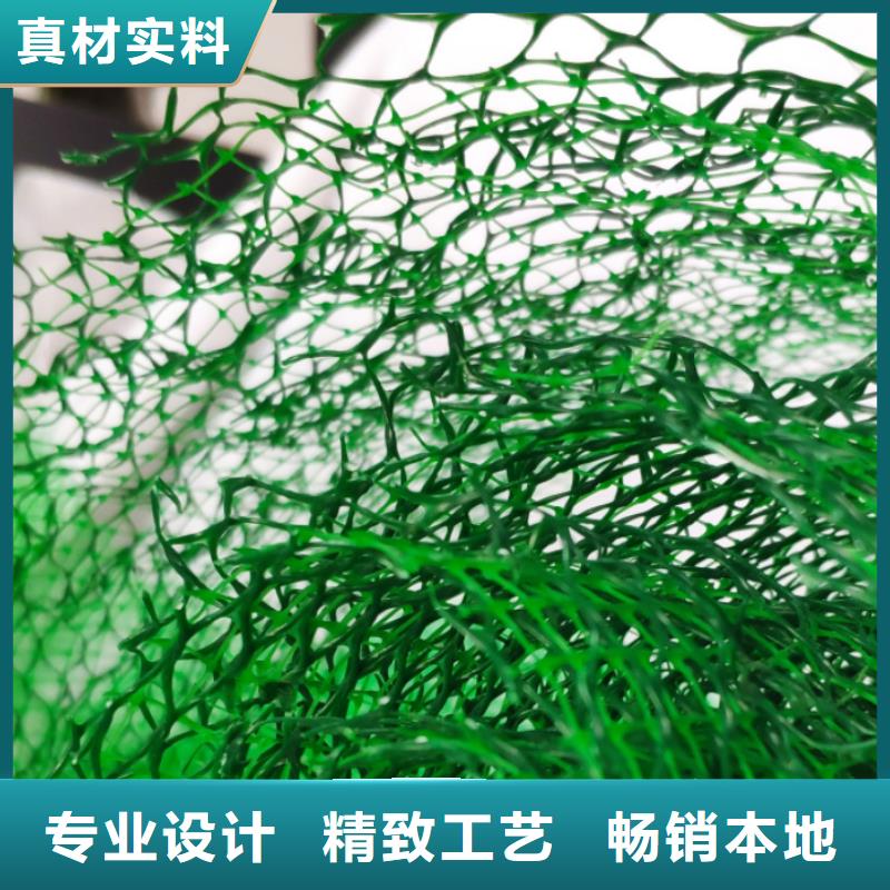 三维植被网-【植草格】一站式采购方便省心精心选材