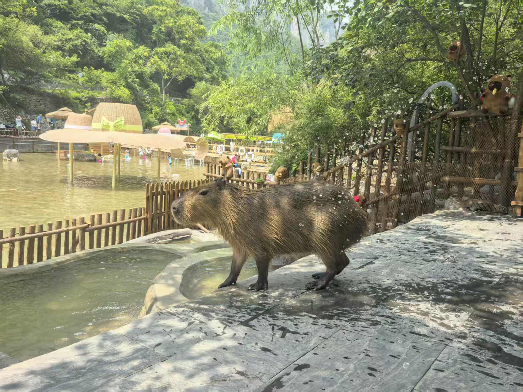 养殖基地-联系方式