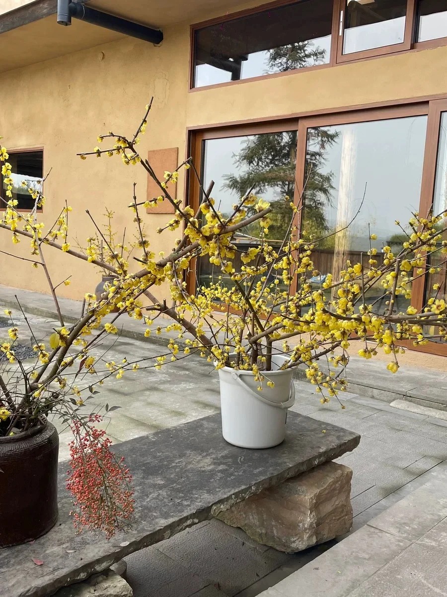 断层仿泥巴墙涂料价格 #稻壳漆#仿泥巴稻草漆#美丽乡村建设