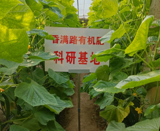 腐熟鸡粪生产基地