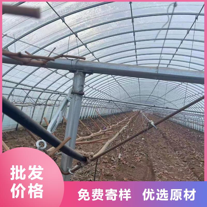 【温室大棚】锌铝镁光伏支架源厂直接供货适用范围广