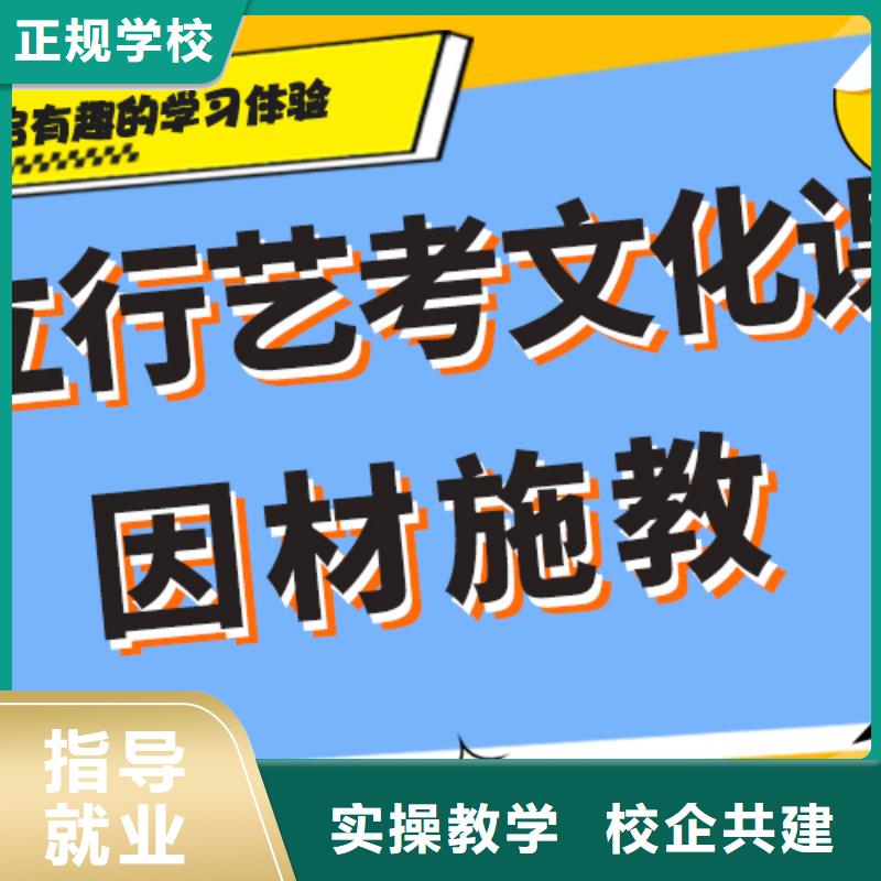 艺术生文化课补习学校排行艺考生文化课专用教材附近生产厂家