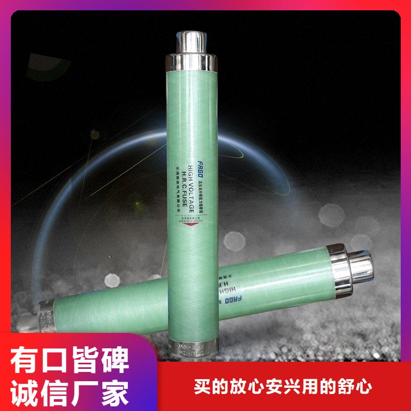 RXWO-40.5/10A熔断器质量优价格低