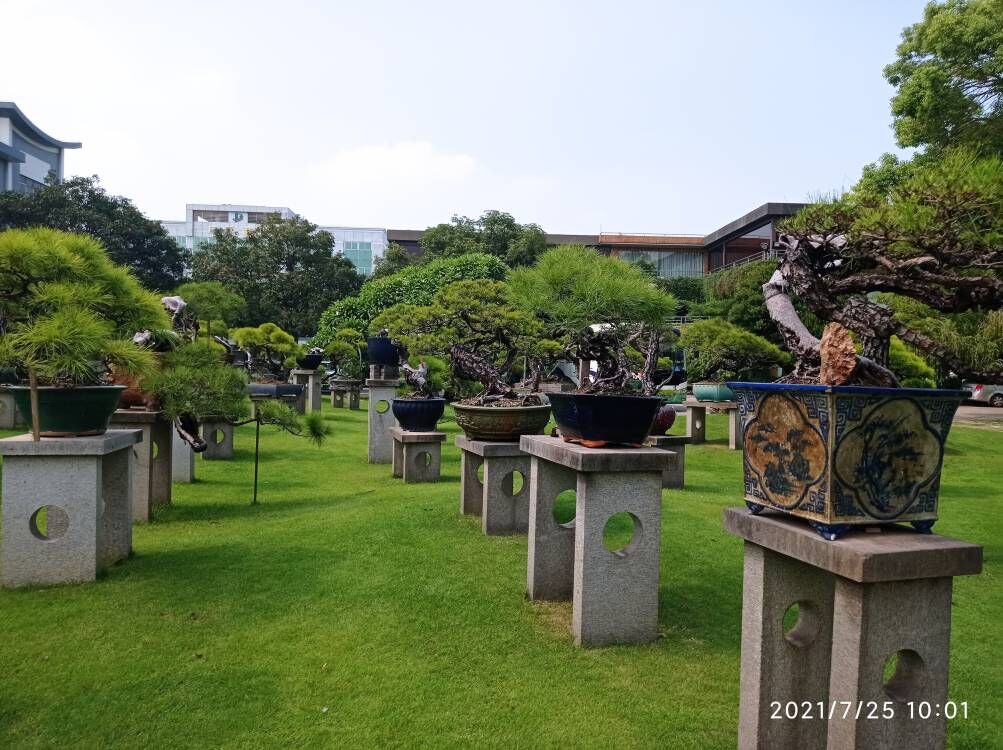 堤坝围埝土壤固化软土固化剂生产基地