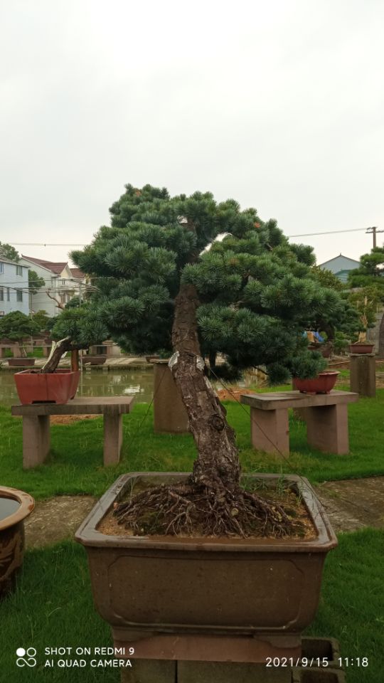 土壤固化剂生物酶土壤固化剂批发