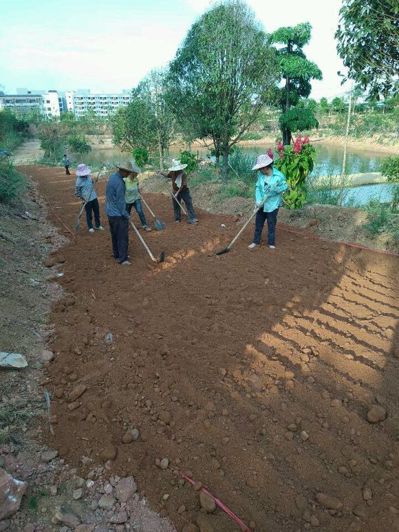 粘土土壤固化剂边坡生态治理优质商家