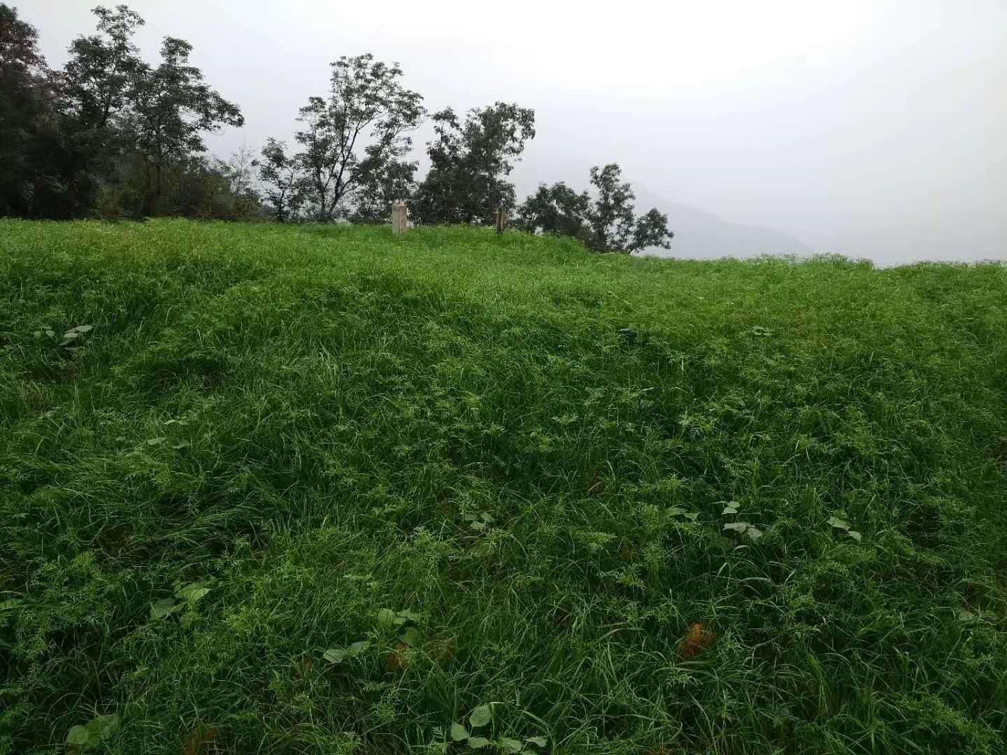 83千瓦客土喷播机矿山修复喷播机